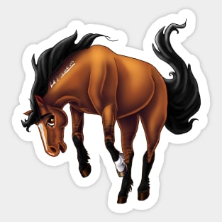 Bureau of Land Management Mustang Sticker